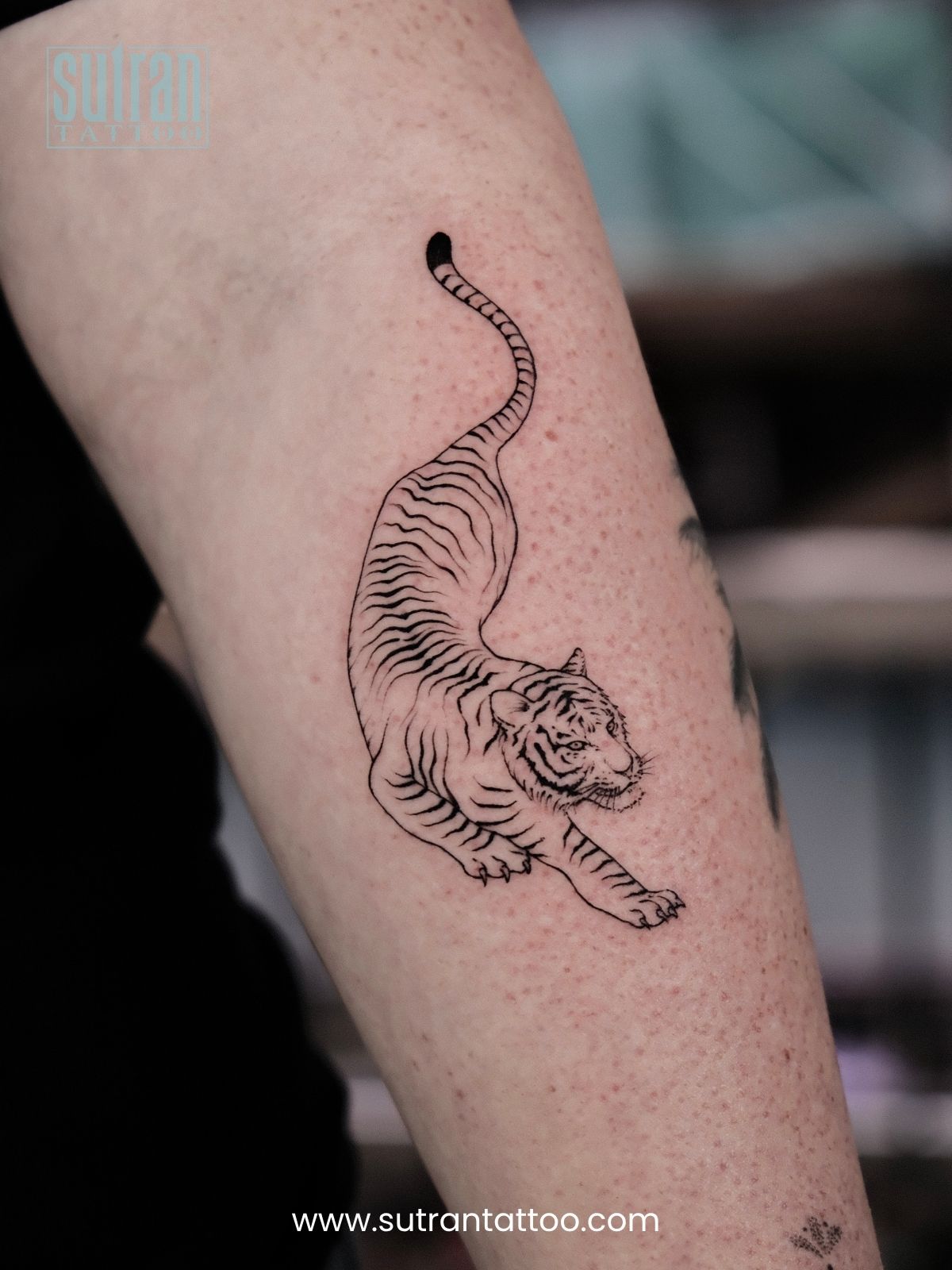 tiger tattoo designs on arm