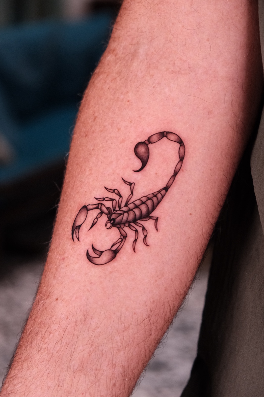 Black and grey scorpion tattoo on the forearm