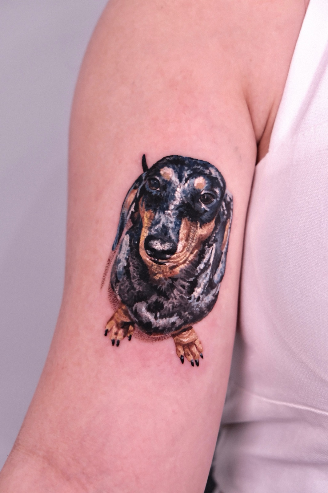 Realistic color portrait tattoo of a dachshund dog on the upper arm