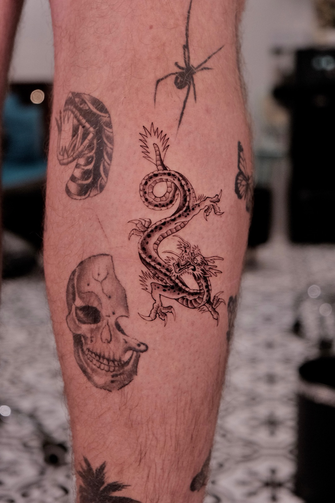 Dragon Skull Spider Tattoo Collection on Leg