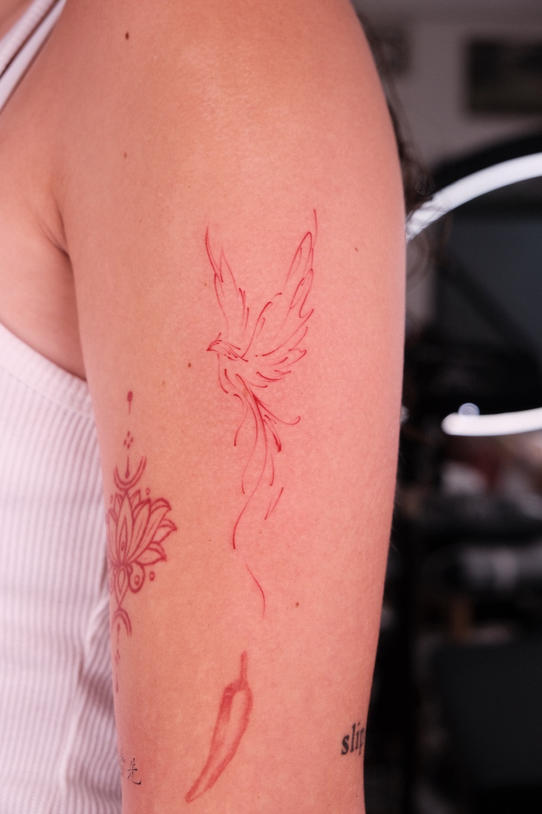 Hình xăm phượng hoàng đỏ phong cách fine line trên bắp tay