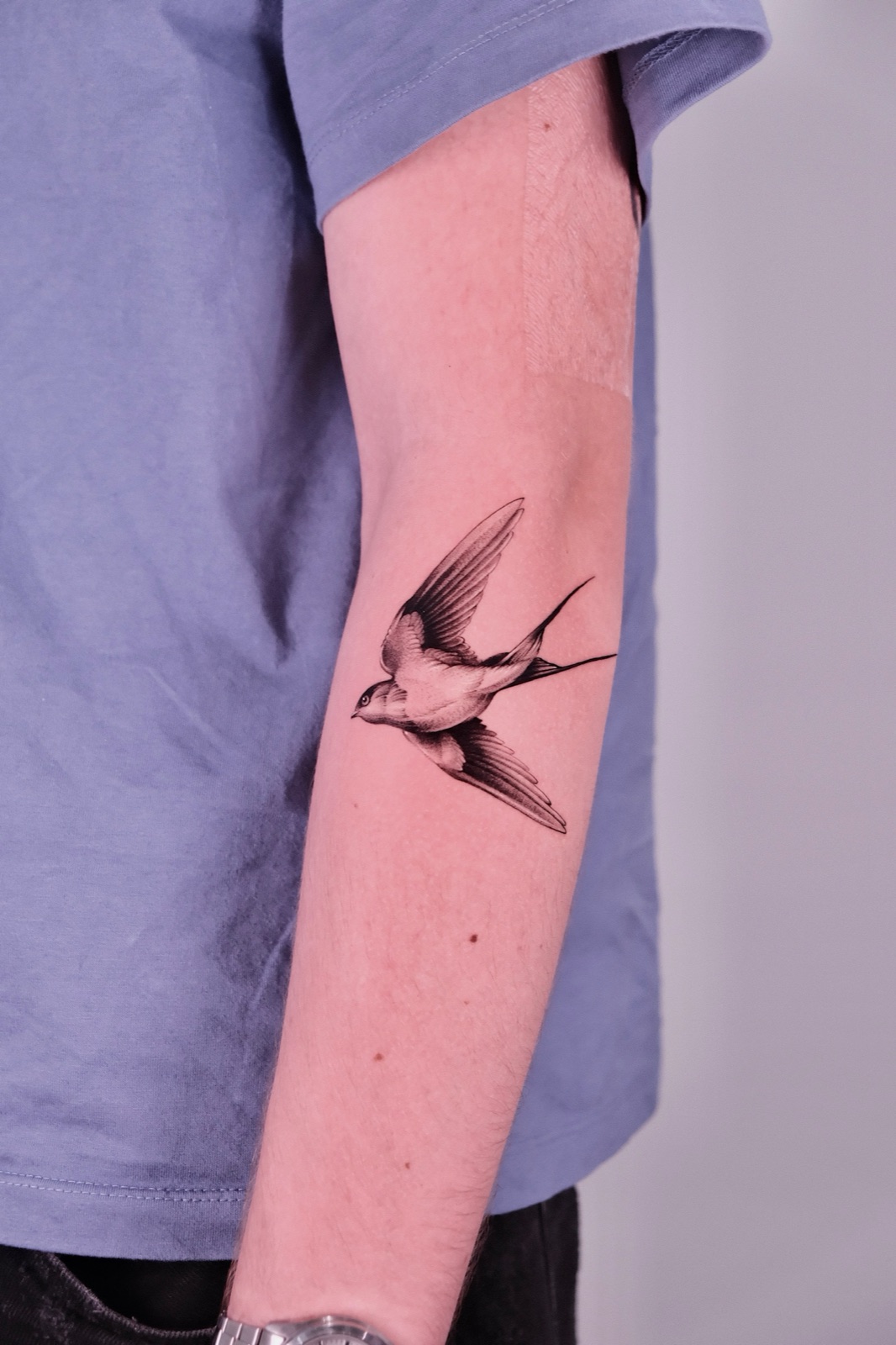 Realistic black and grey swallow bird in flight tattooed on forearm