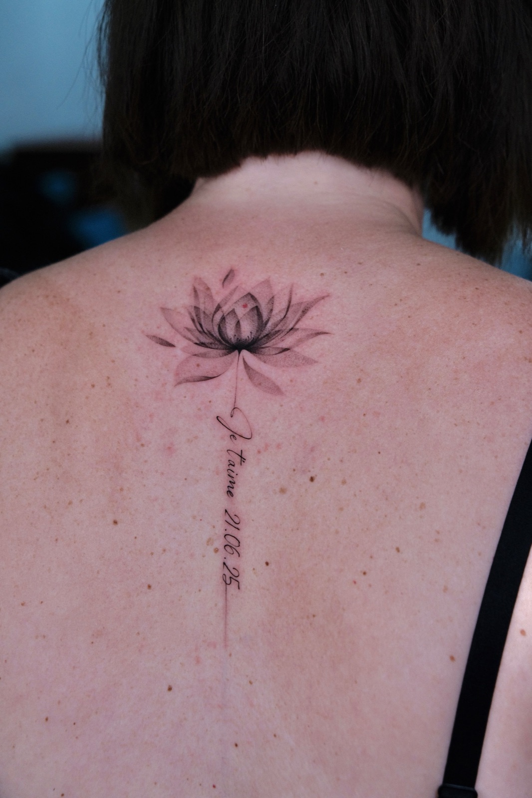 Watercolor-style lotus flower with cursive script running down the spine