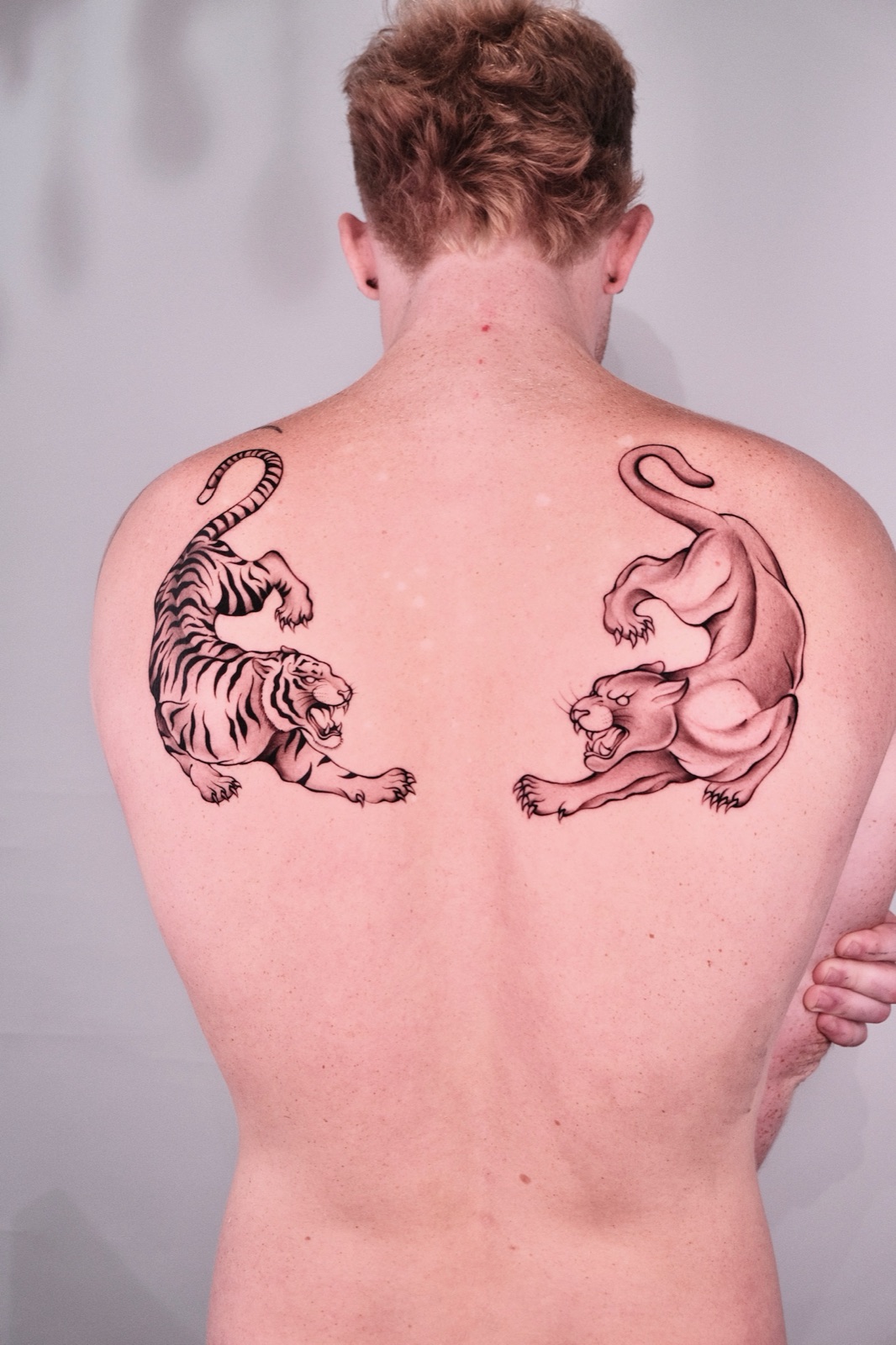 Black and grey realism tattoo of a tiger and a black panther across the back and shoulders