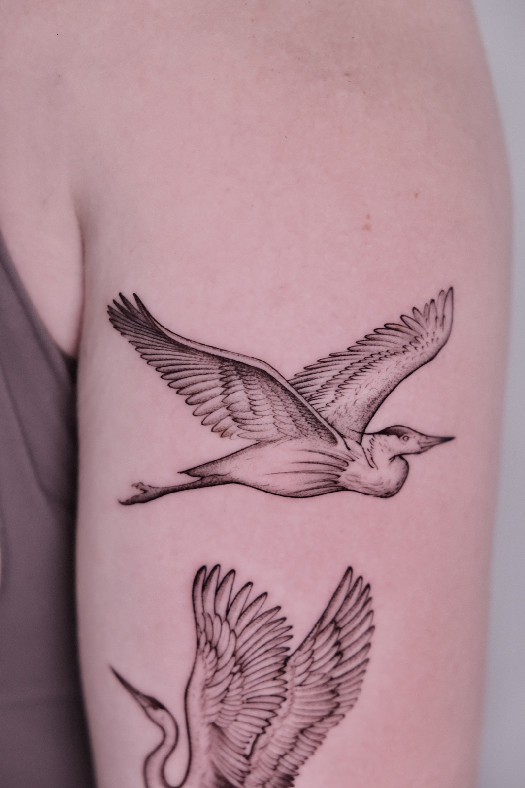 Two fine-line flying cranes tattooed on the upper arm