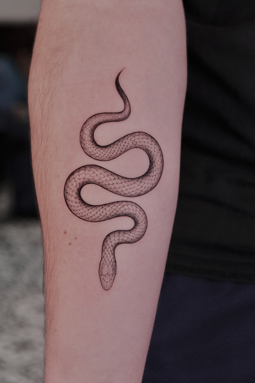 Fine-line snake tattoo curving down the forearm
